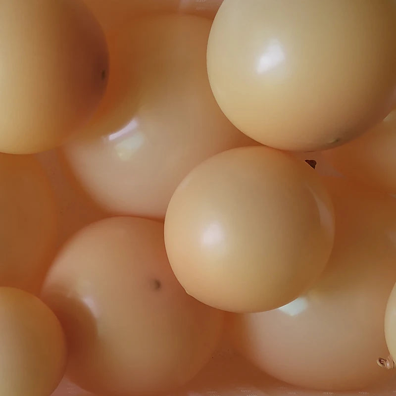 Candy Color Matte Latex Balloons 5–36in