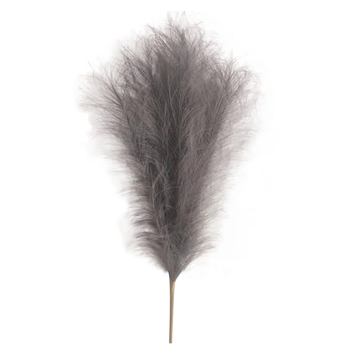 Pampas grass Vase decor 6PC