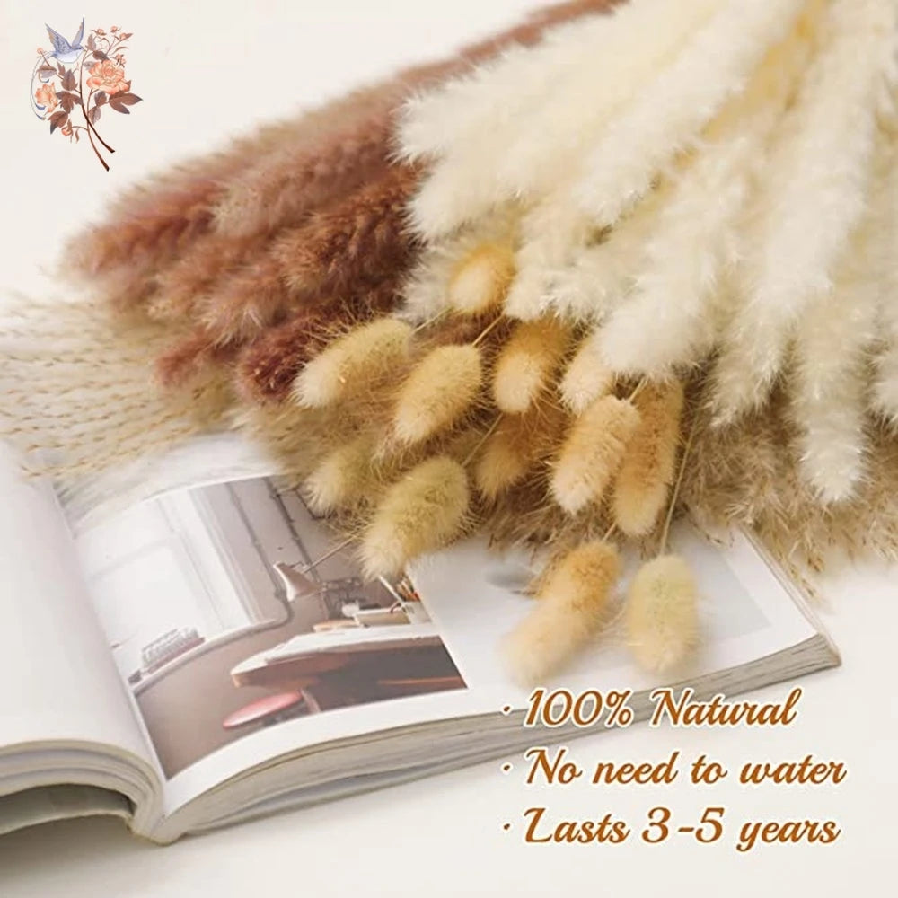Natural Pampas Dried Flowers Bouquet