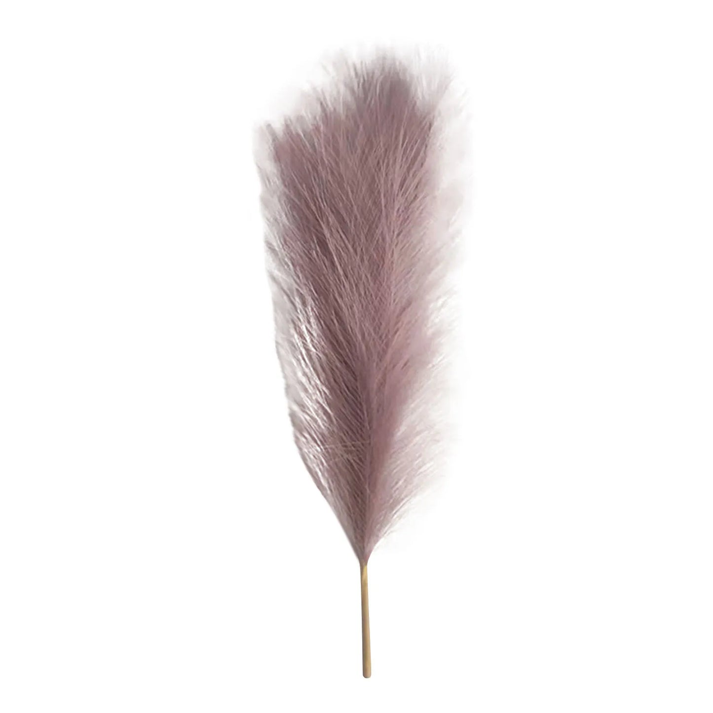 Pampas grass Vase decor 6PC