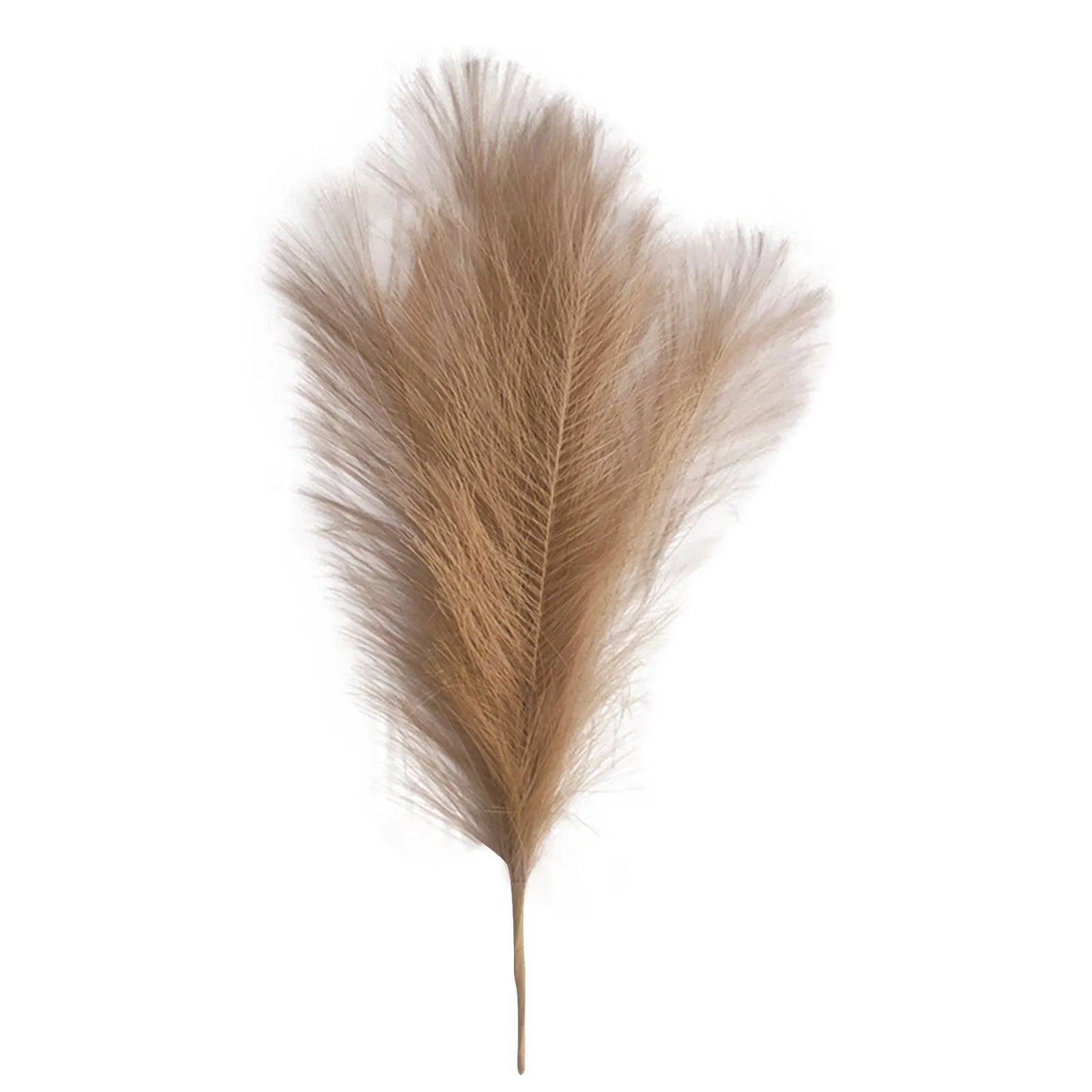 Pampas grass Vase decor 6PC