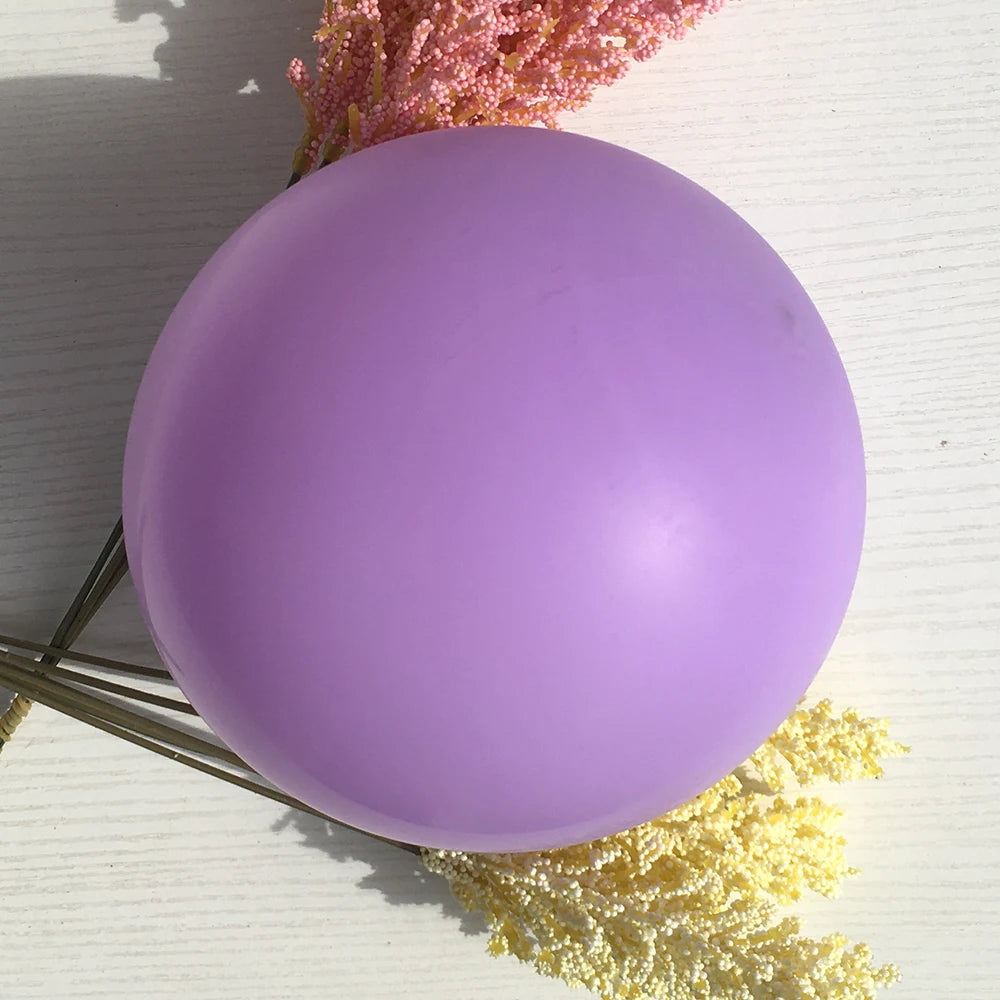 Colorful Macaron Balloon Arch Kit with Accessoriesba