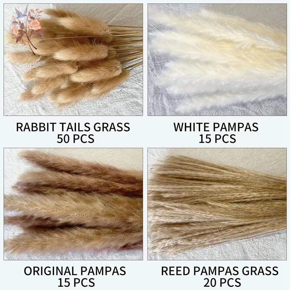 Natural Pampas Dried Flowers Bouquet