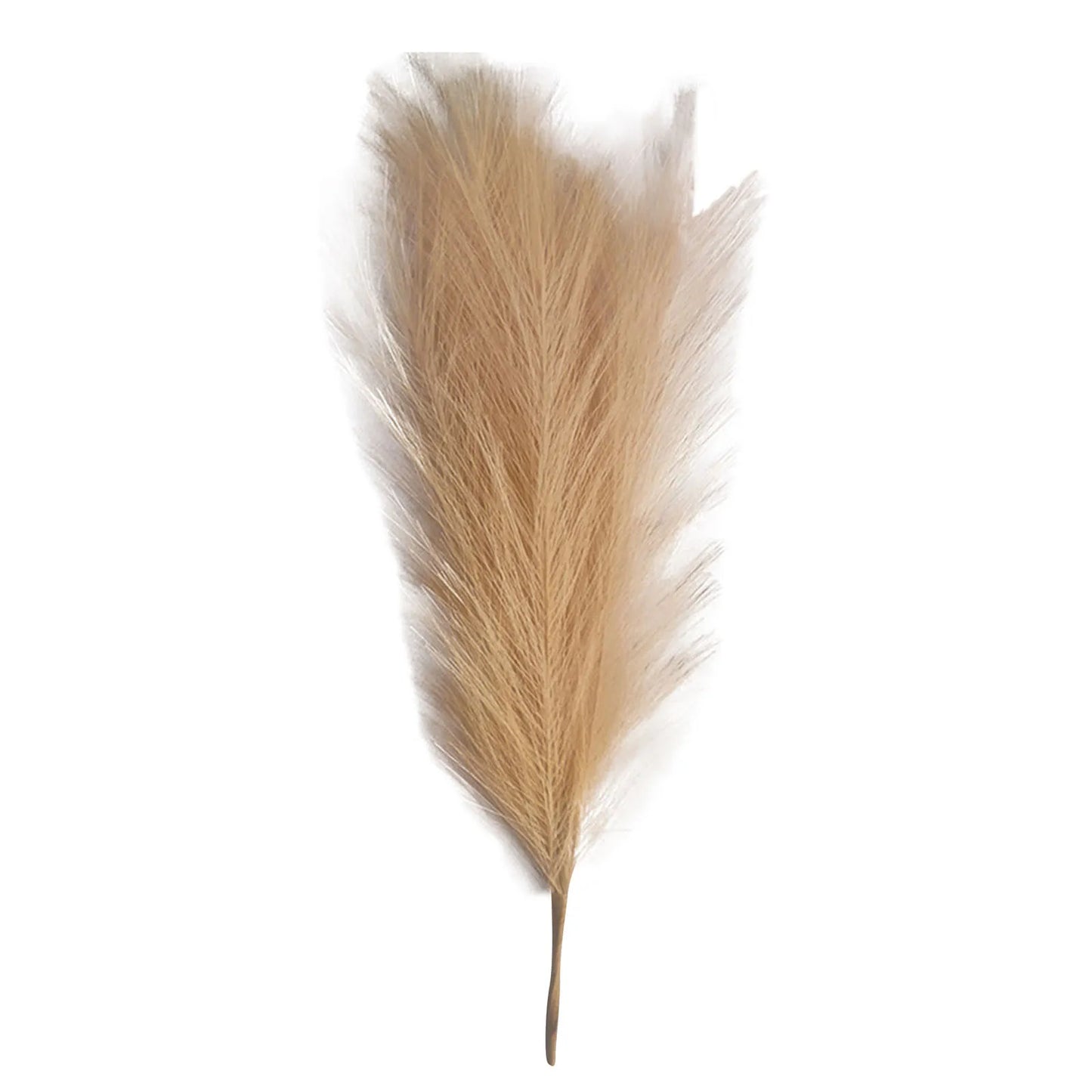 Pampas grass Vase decor 6PC