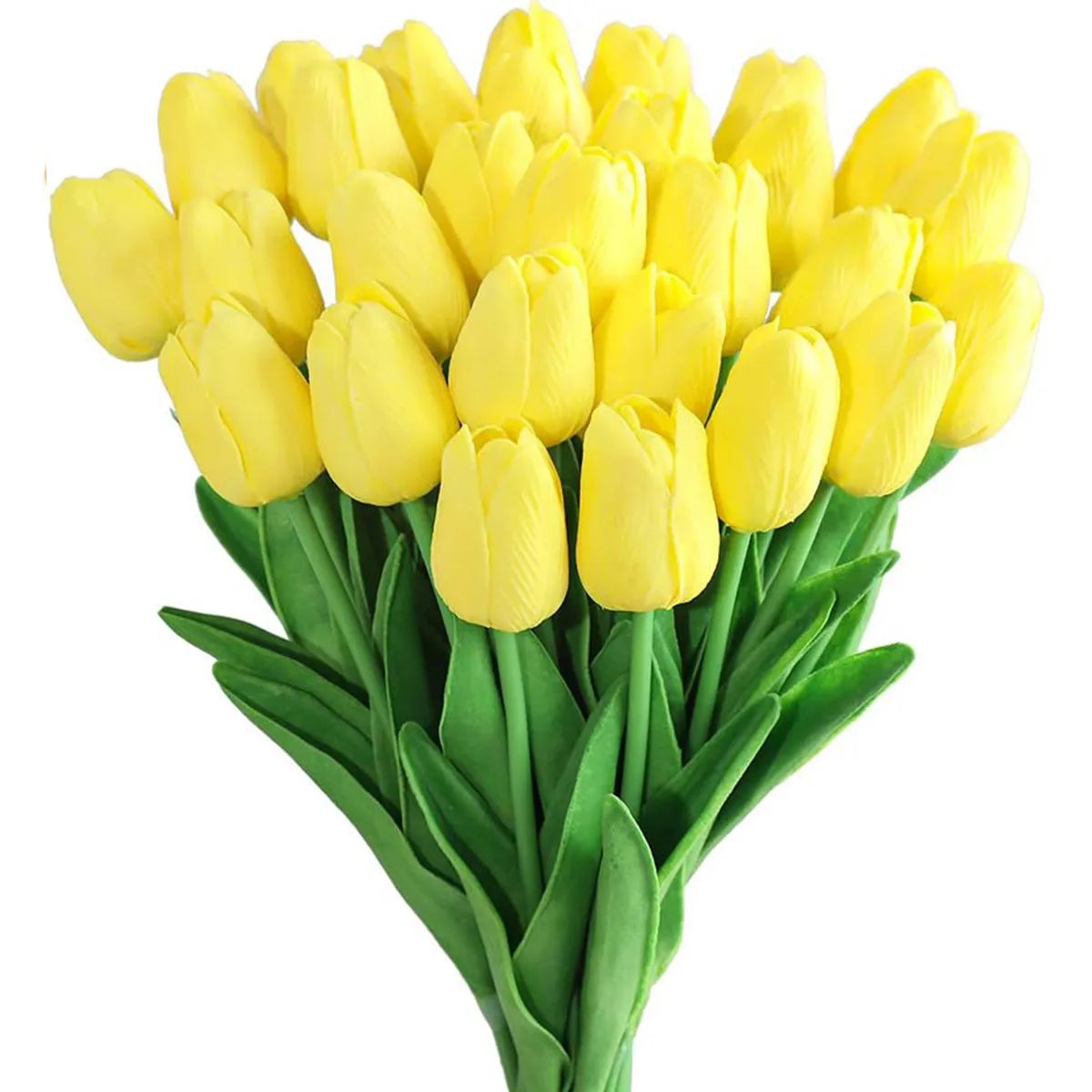Flowers Tulip 10Pcs