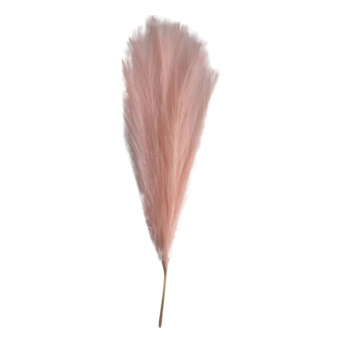 Pampas grass Vase decor 6PC