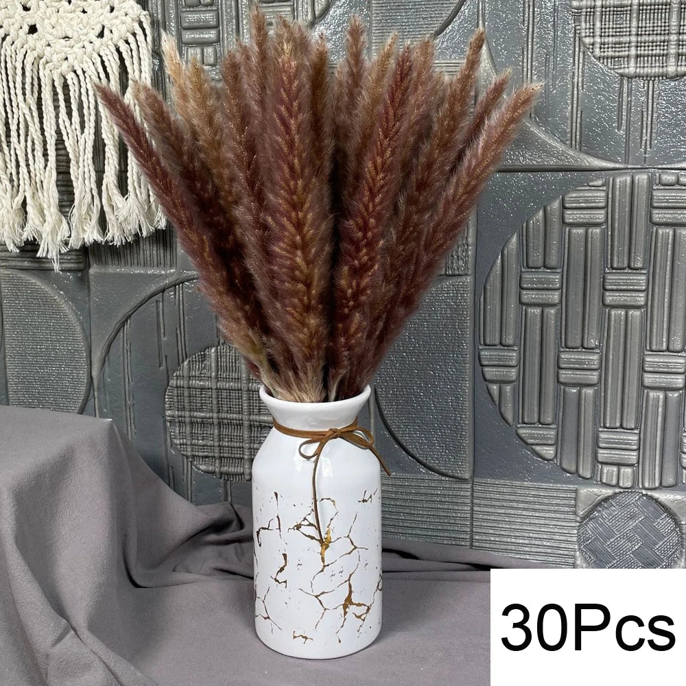 Natural Pampas Dried Flowers Bouquet