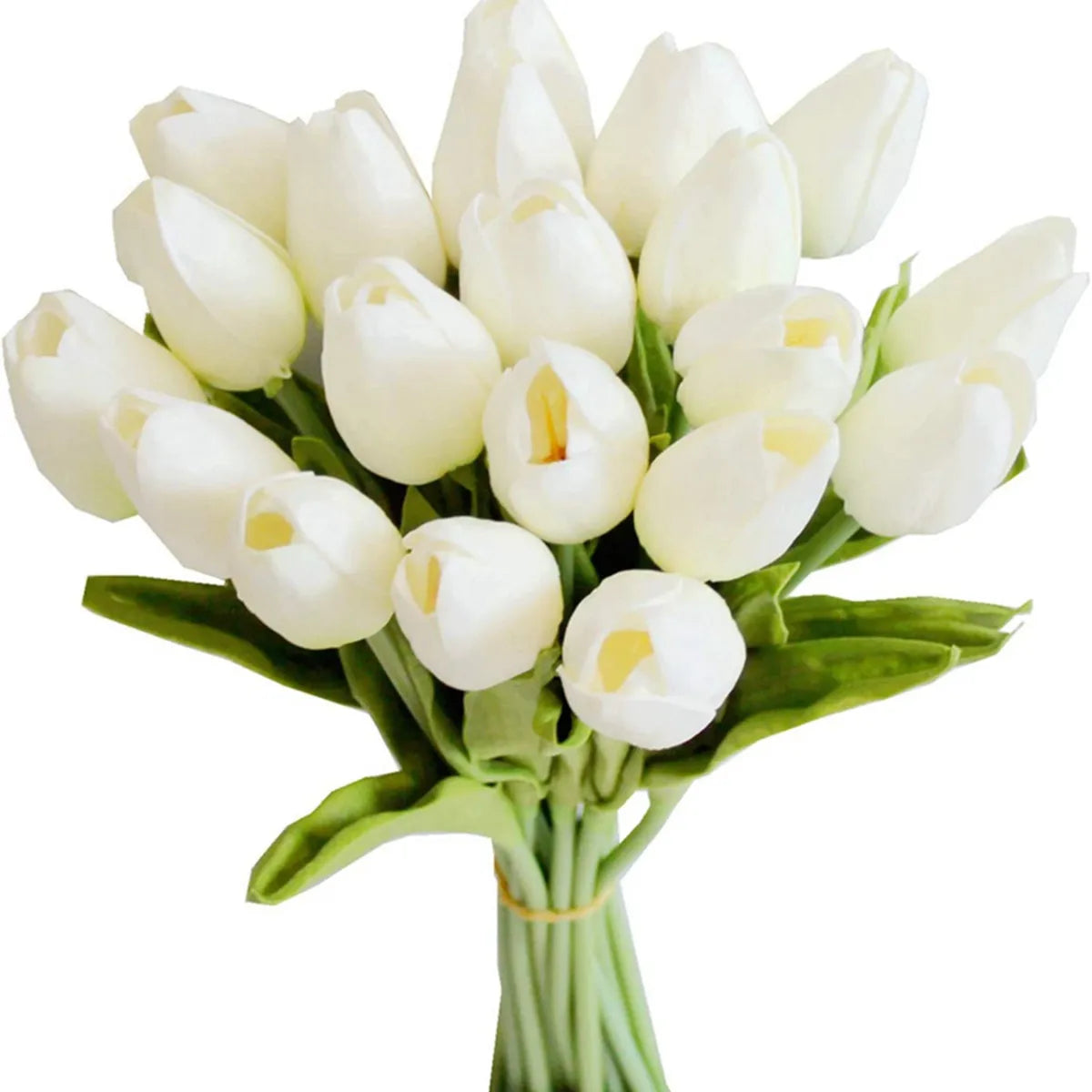 Flowers Tulip 10Pcs
