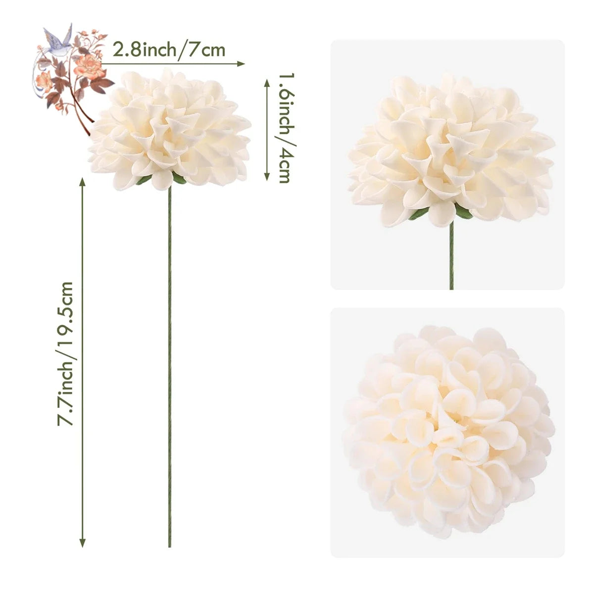 Dahlia Daisy flowers with stem 25Pcs for decoration