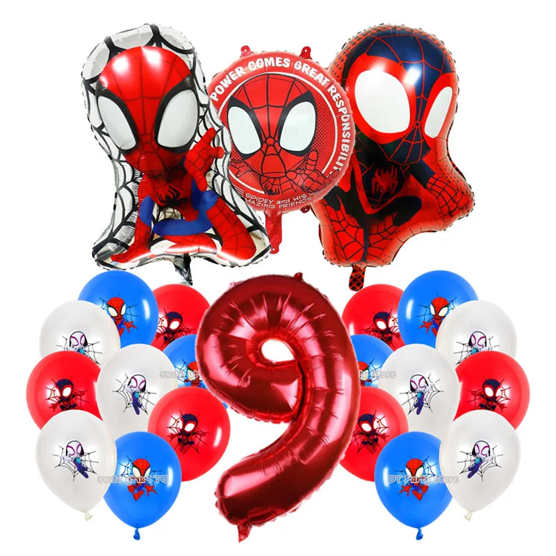 SpiderMan Theme Decoration