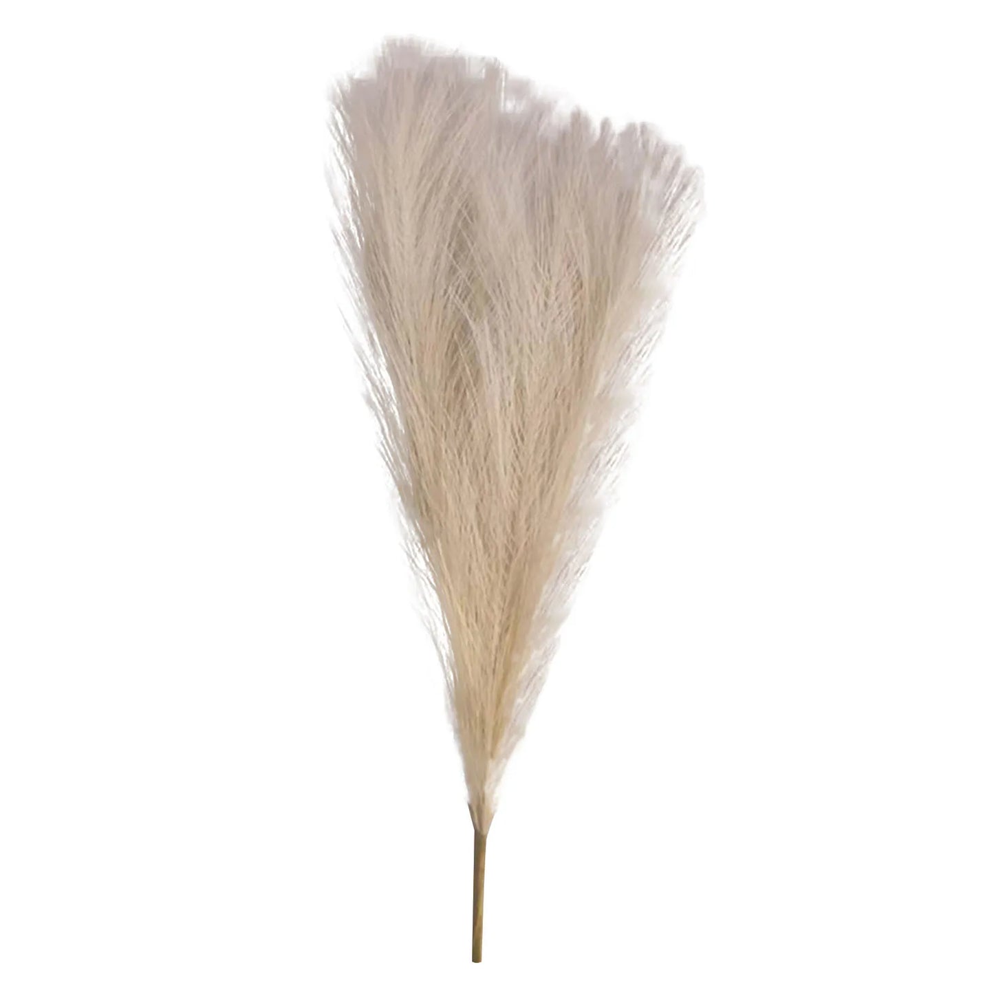 Pampas grass Vase decor 6PC