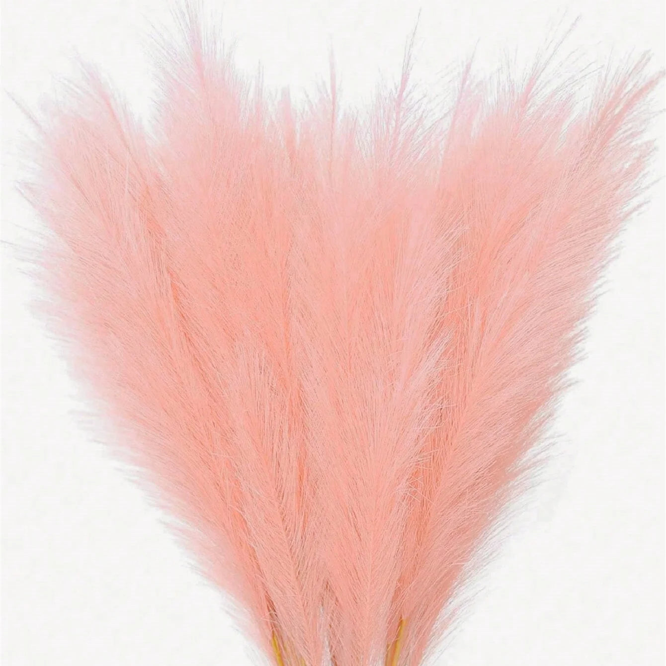 Red Artificial Pampas ,55cm/21.65in 5/10/20pcs