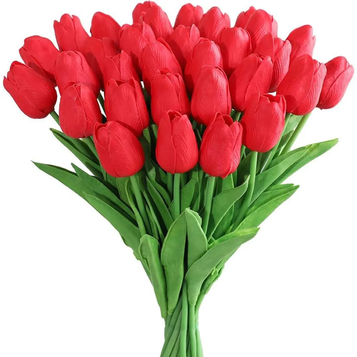 Flowers Tulip 10Pcs