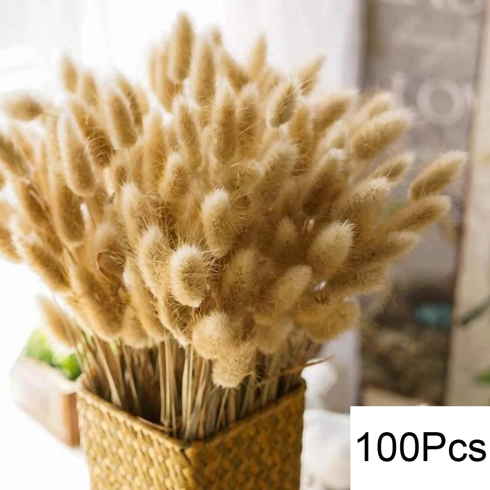 Natural Pampas Dried Flowers Bouquet