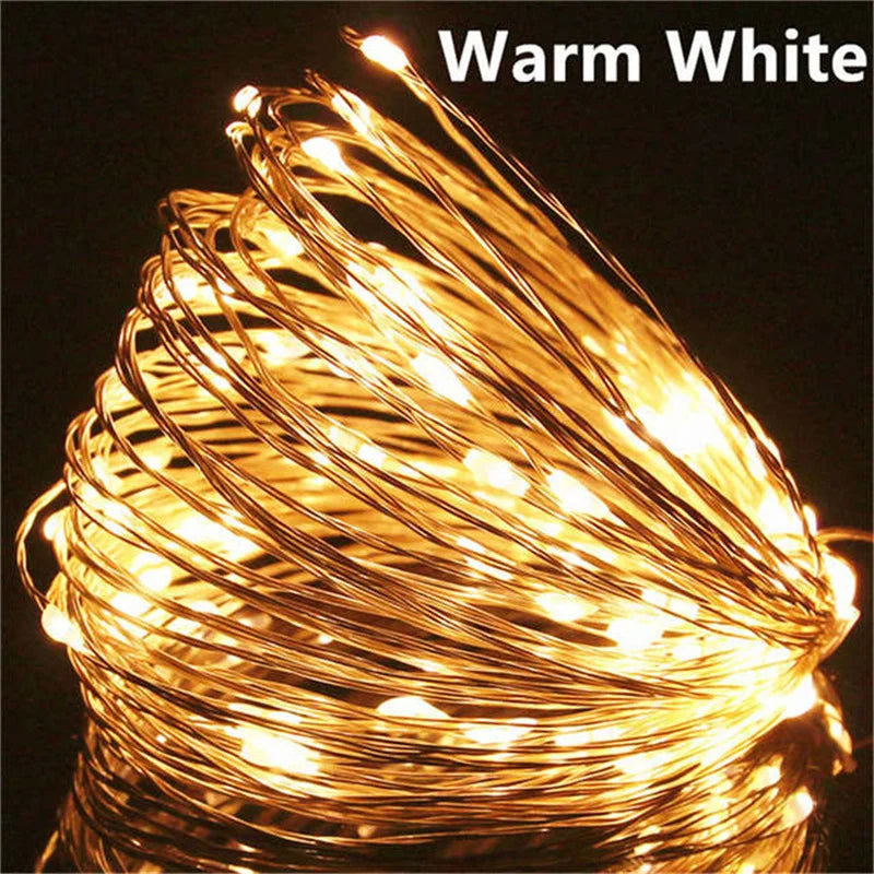 20M Decorative Copper Fairy Lights 200LED