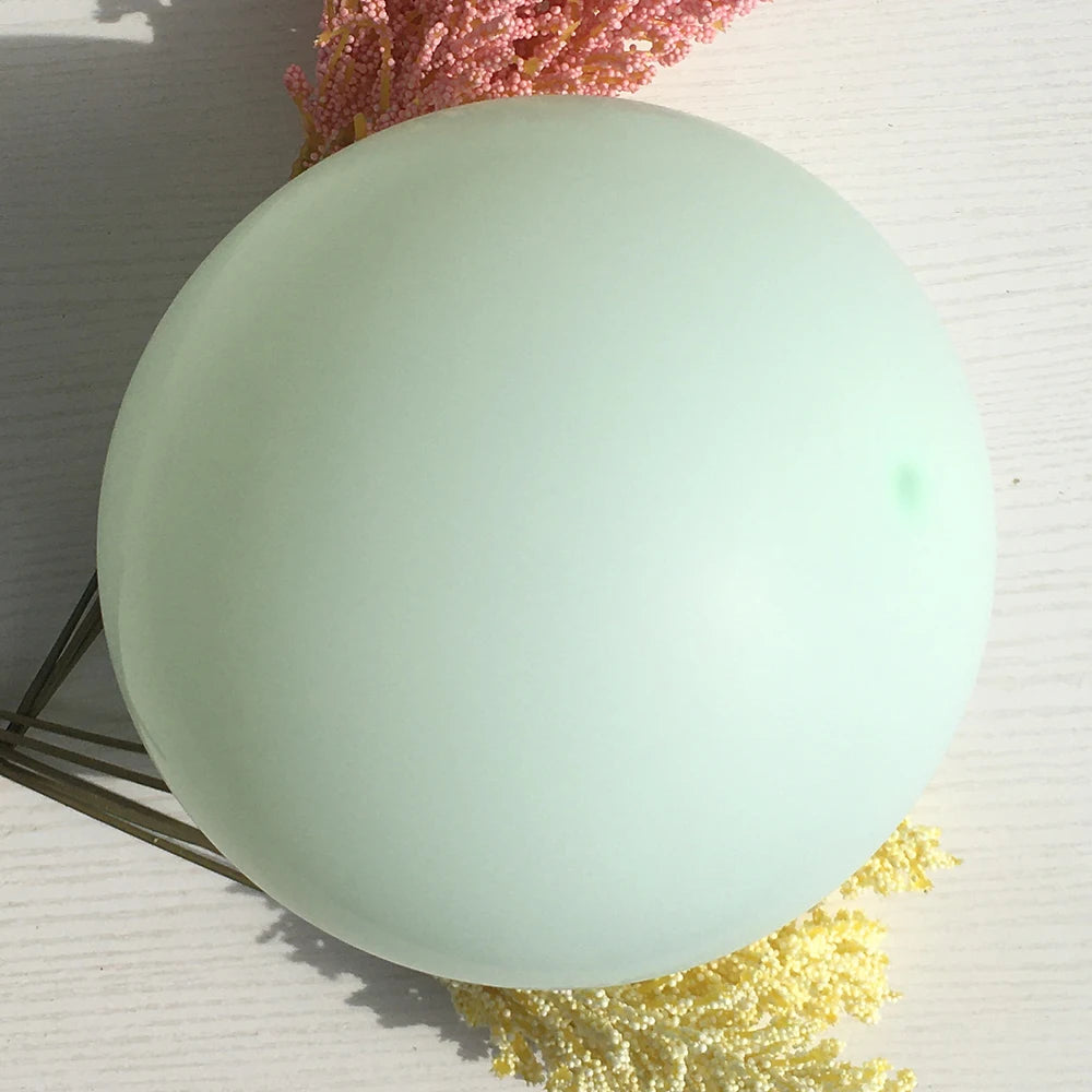 Colorful Macaron Balloon Arch Kit with Accessoriesba