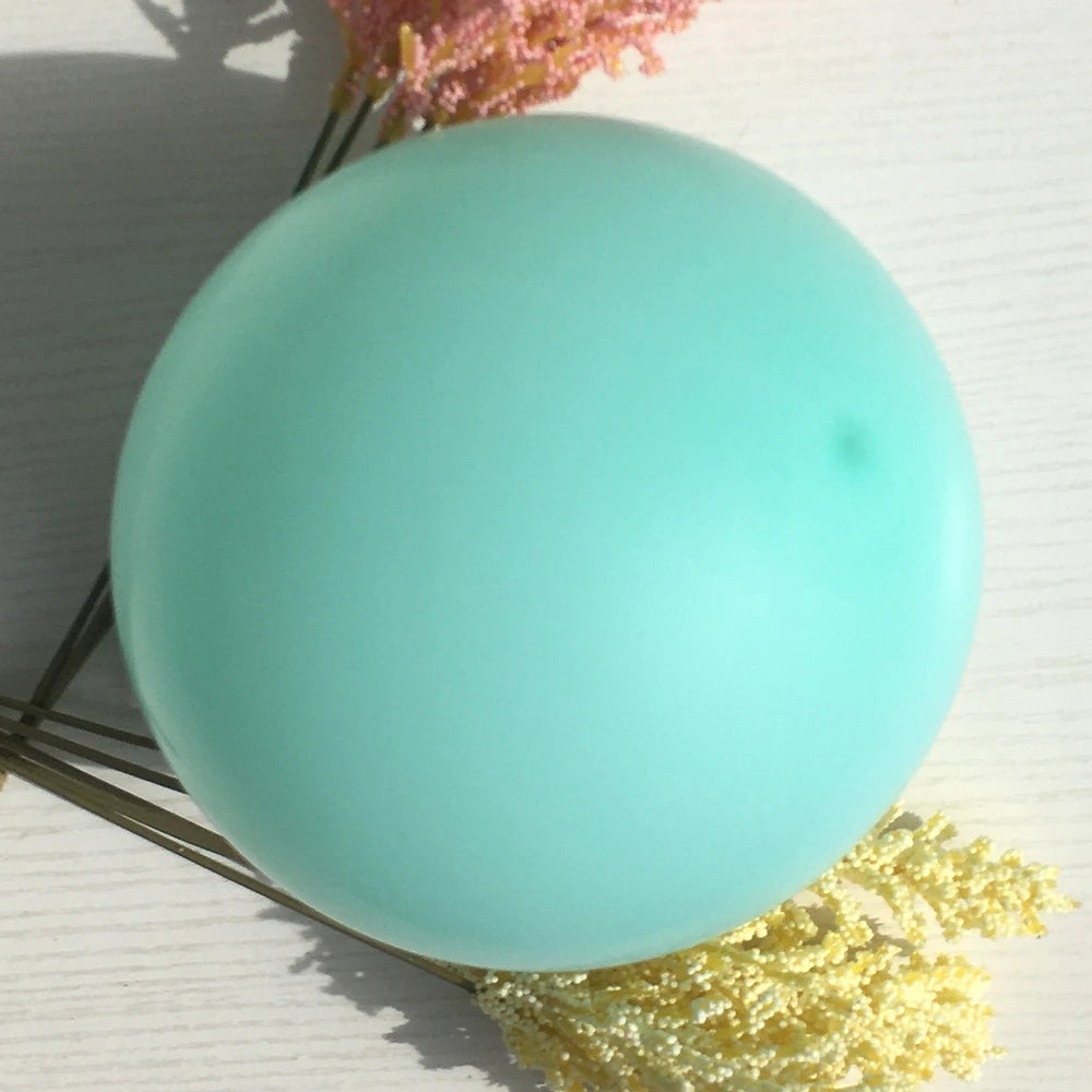 Colorful Macaron Balloon Arch Kit with Accessoriesba