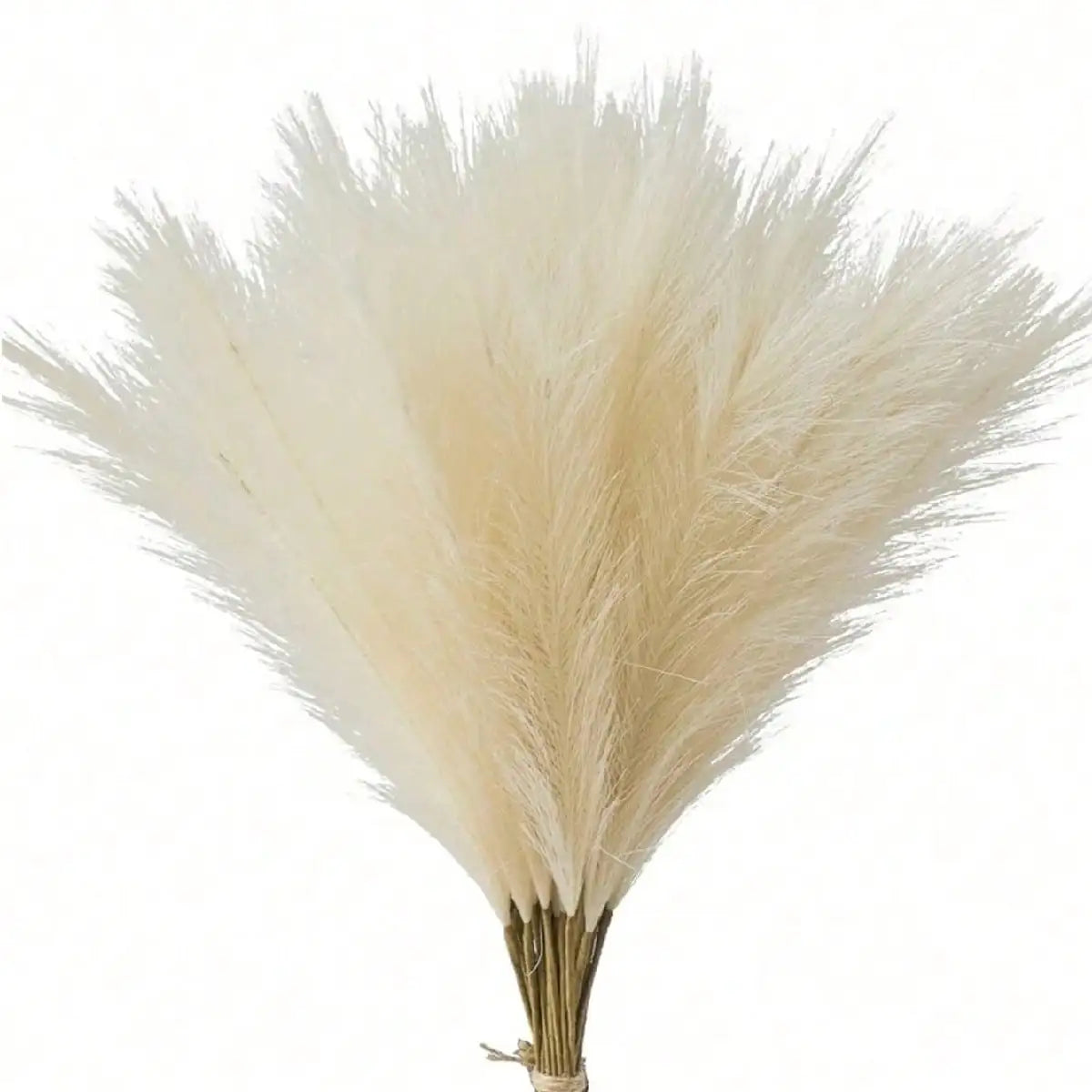 Red Artificial Pampas ,55cm/21.65in 5/10/20pcs