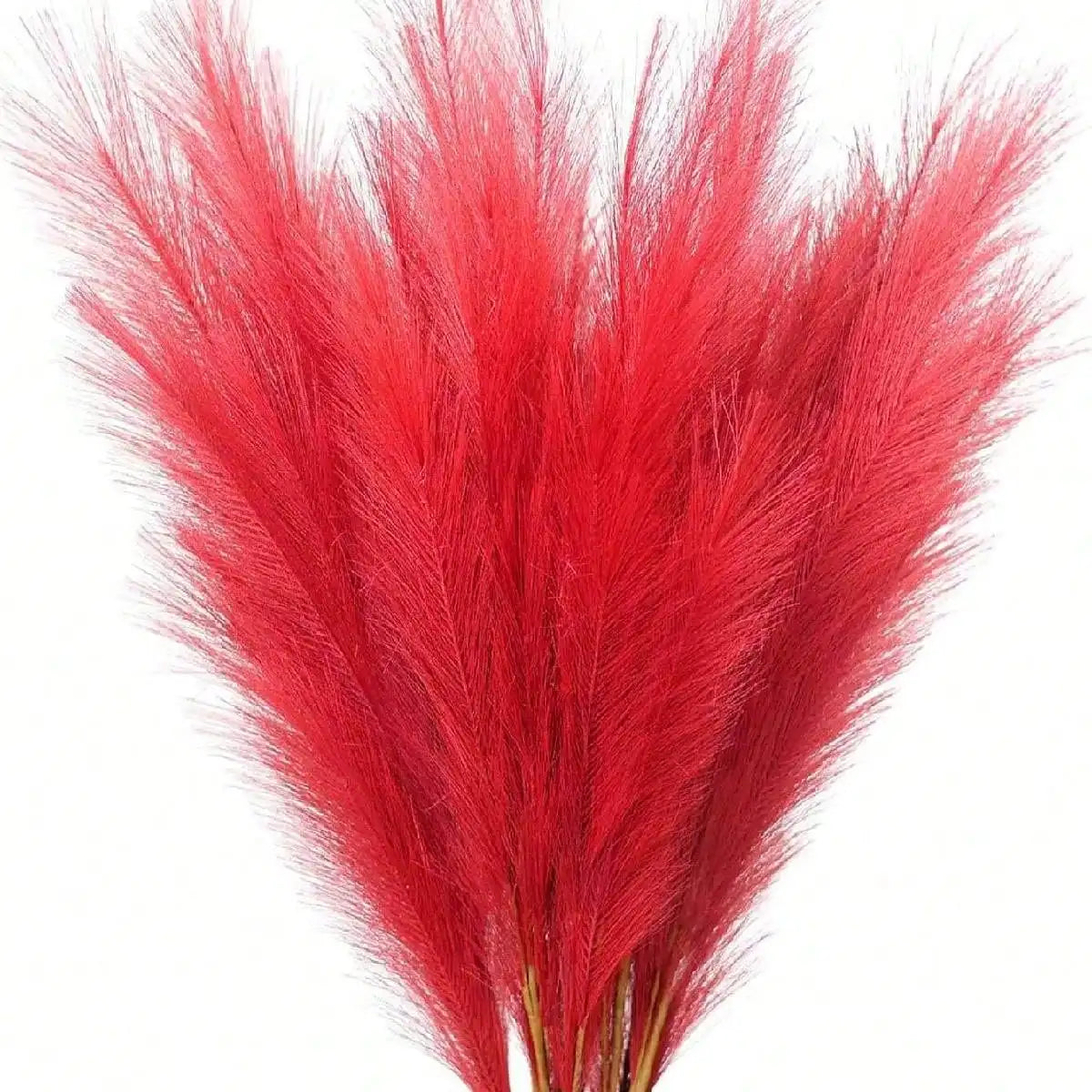 Red Artificial Pampas ,55cm/21.65in 5/10/20pcs
