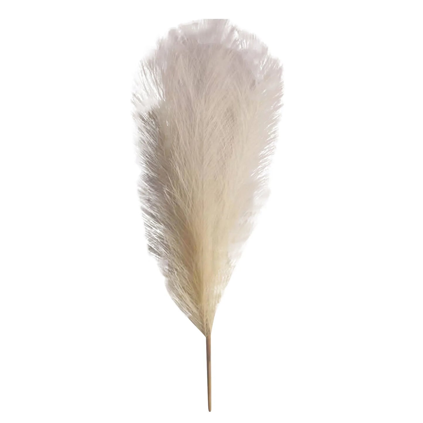 Pampas grass Vase decor 6PC