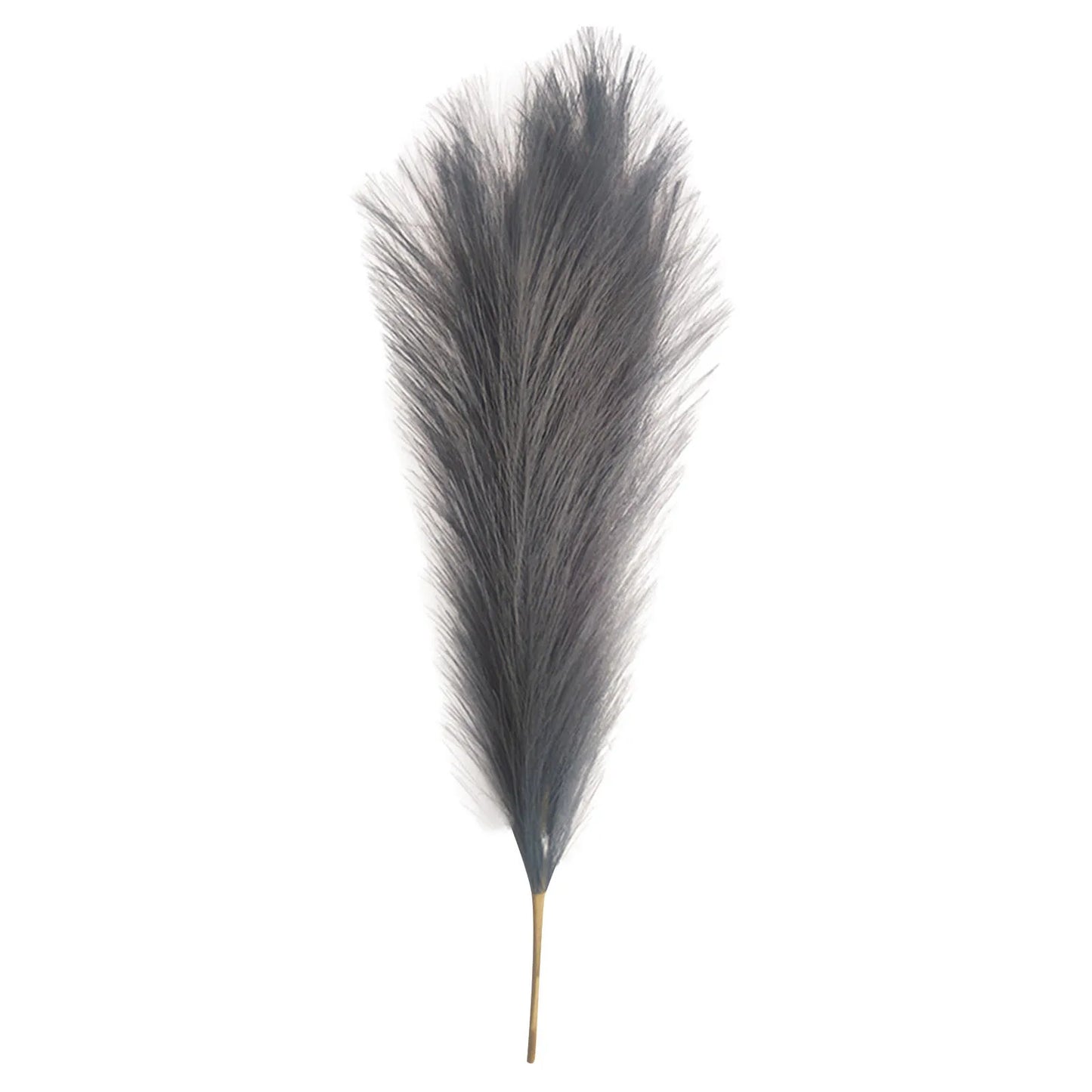Pampas grass Vase decor 6PC