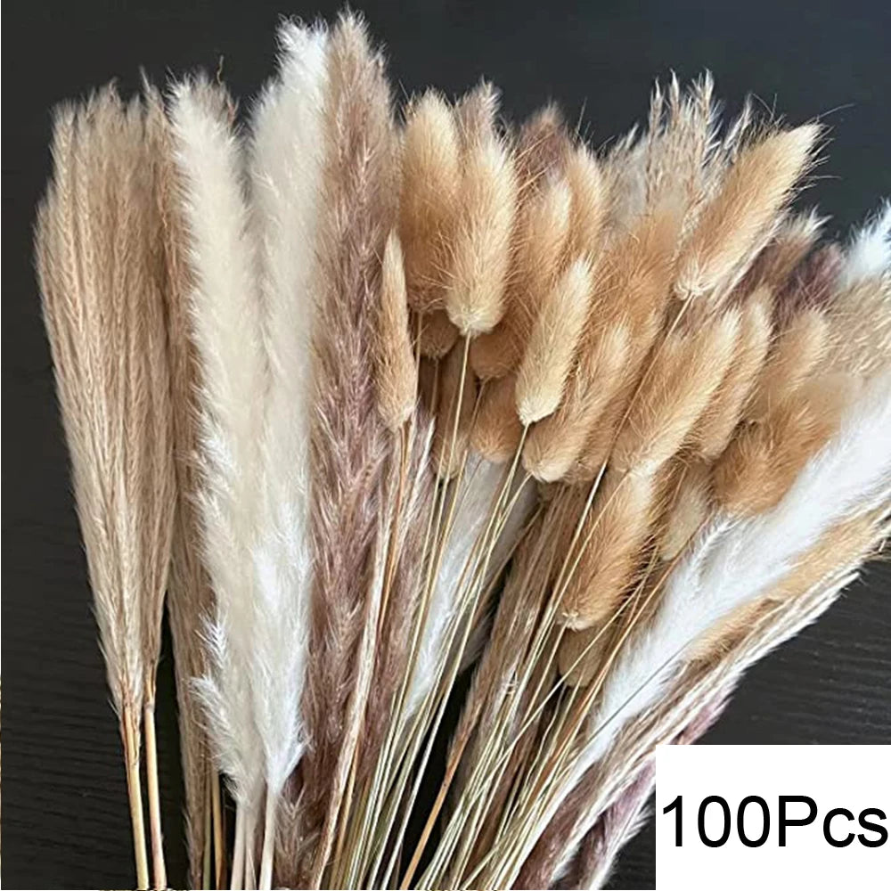 Natural Pampas Dried Flowers Bouquet