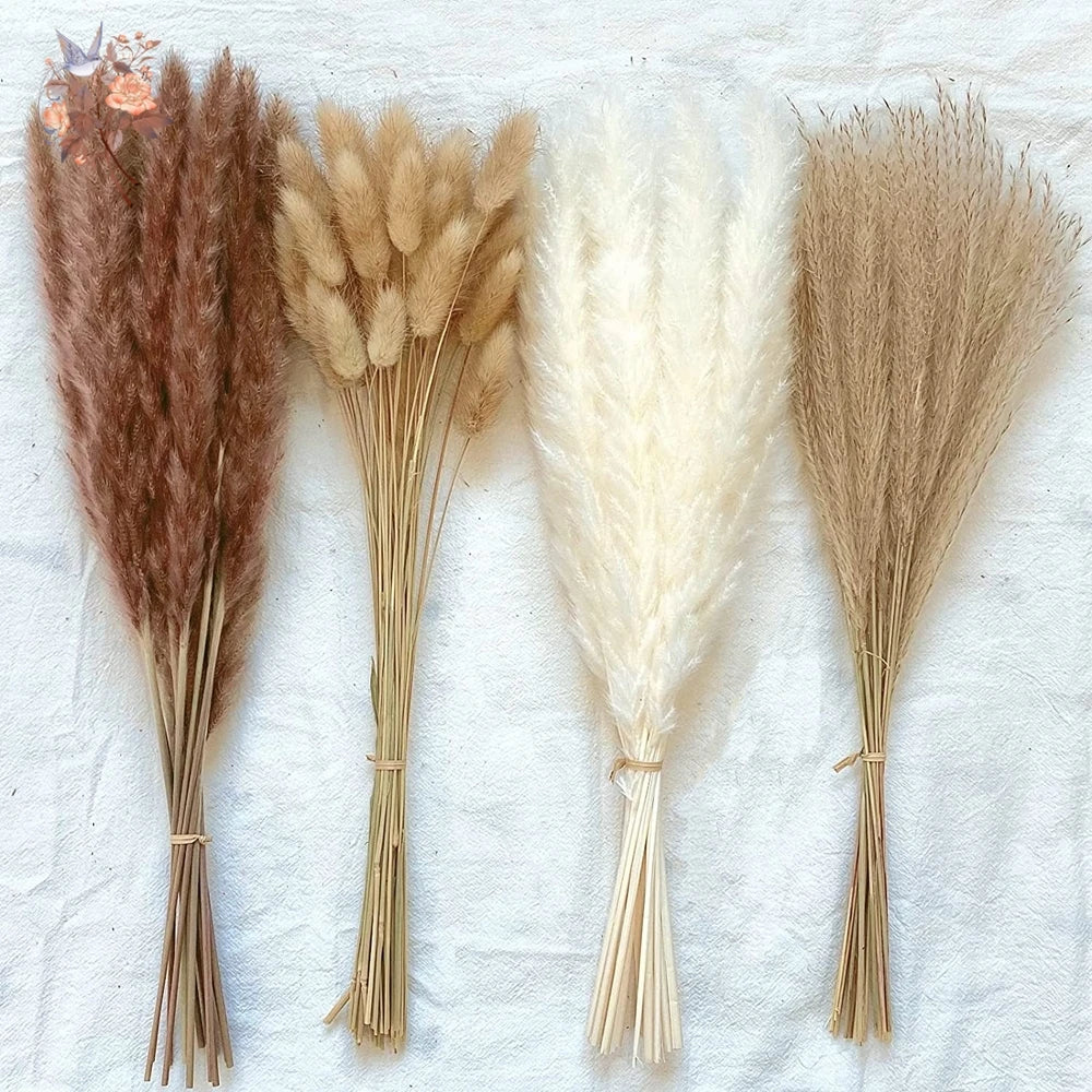 Natural Pampas Dried Flowers Bouquet