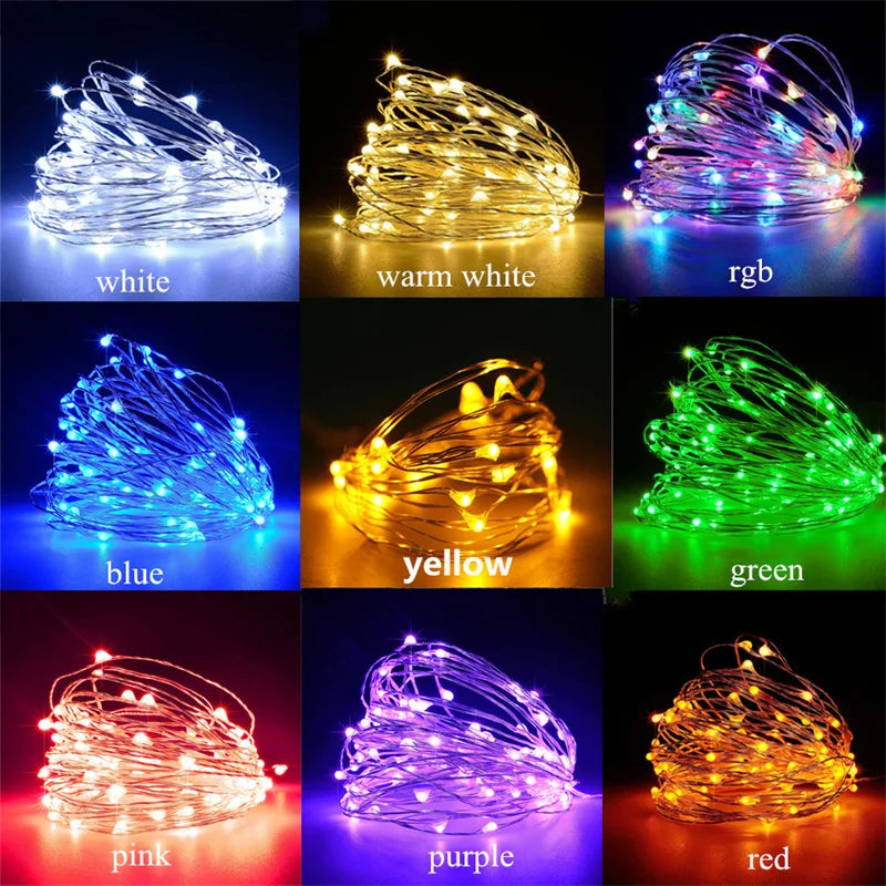 20M Decorative Copper Fairy Lights 200LED