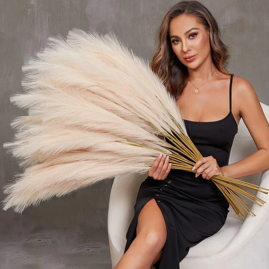 Pampas Grass  Bouquet  90/120cm