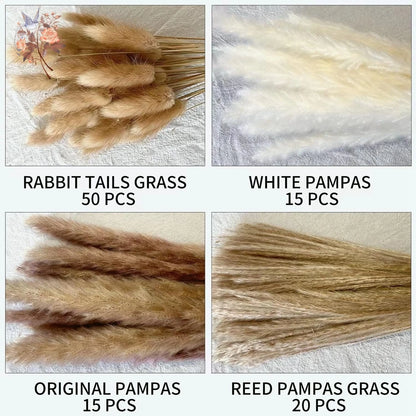 Natural Pampas Dried Flowers Bouquet