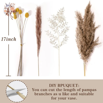 Natural Pampas Grass Dried Flower Bouquet