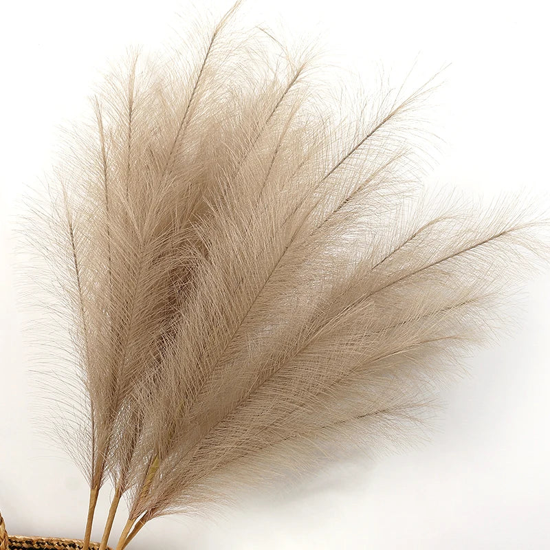 Pampas Grass  Bouquet  90/120cm