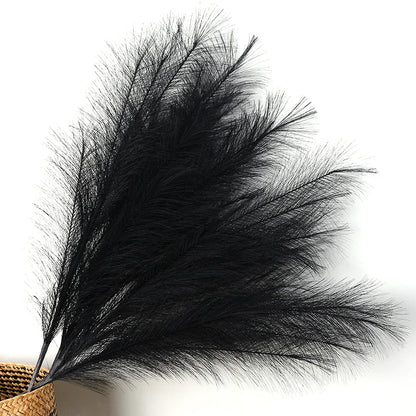 Pampas Grass  Bouquet  90/120cm