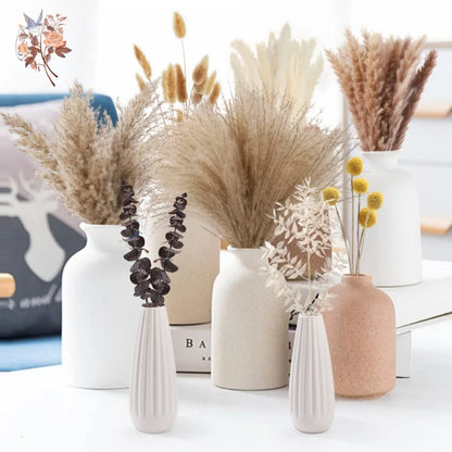 Natural Pampas Grass Dried Flower Bouquet