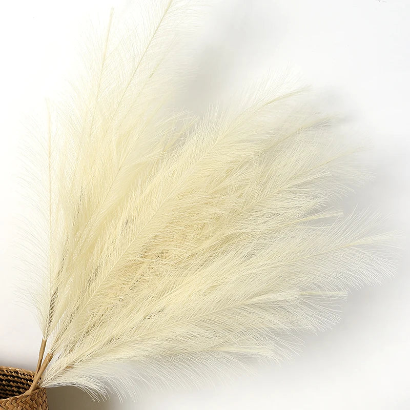 Pampas Grass  Bouquet  90/120cm