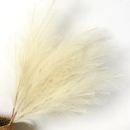 Pampas Grass  Bouquet  90/120cm