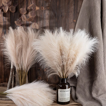 Majestic White Faux Pampas Grass 10PCS/Bag 55CM