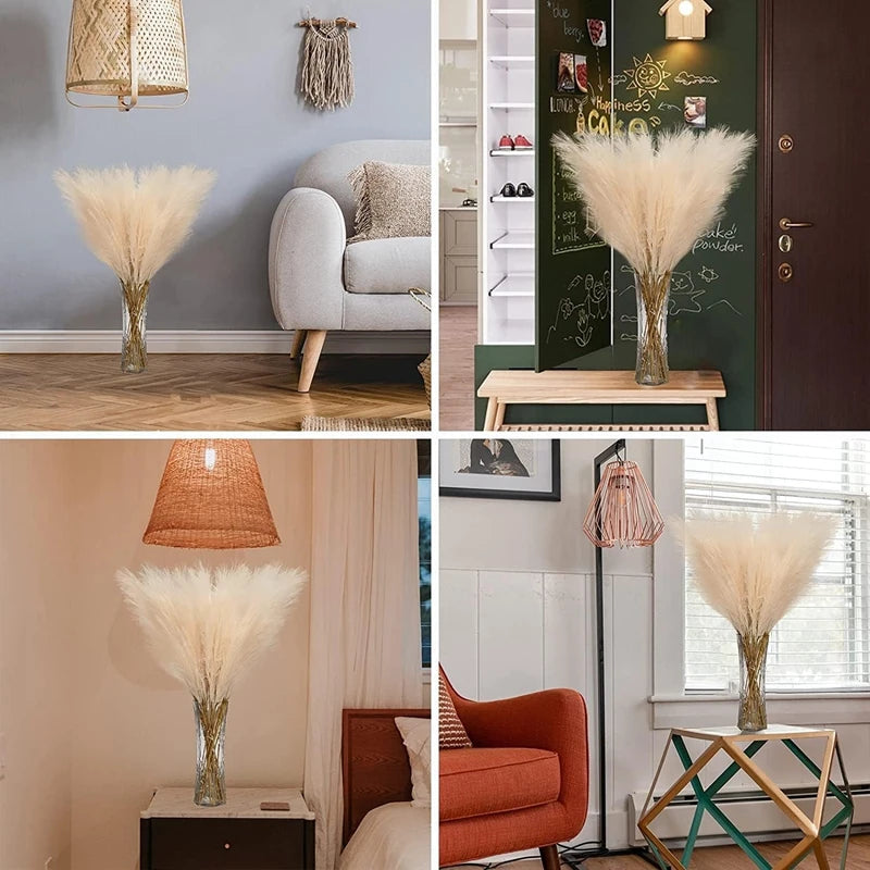 Pampas Grass  Bouquet  90/120cm