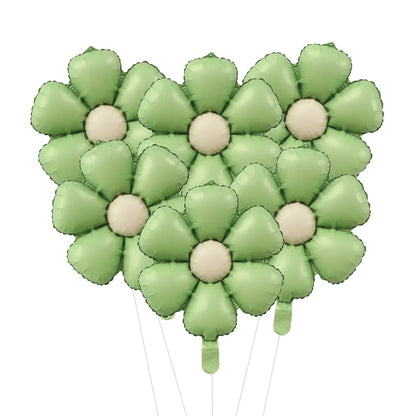 Matt Pink Candy Daisy Balloon 6pcs 50.5x40cm