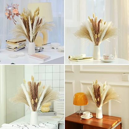 Natural Pampas Dried Flowers Bouquet