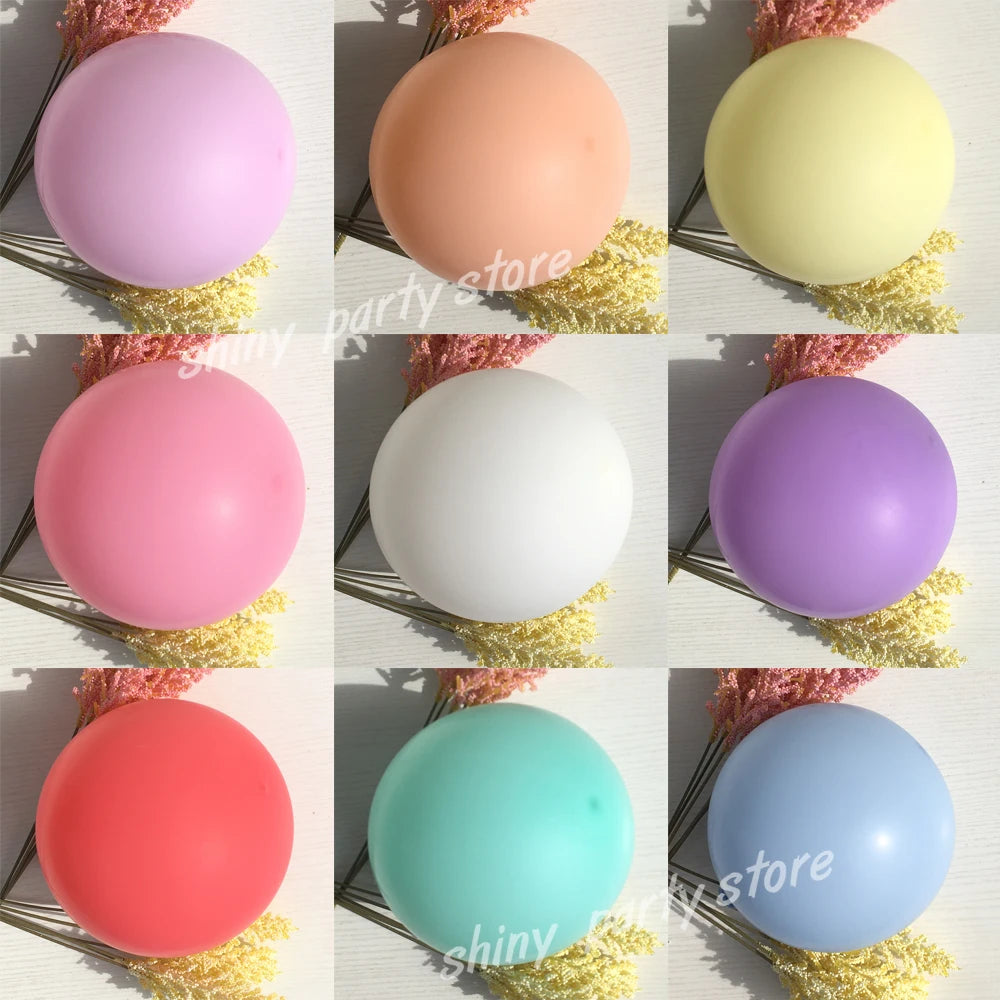 Colorful Macaron Balloon Arch Kit with Accessoriesba