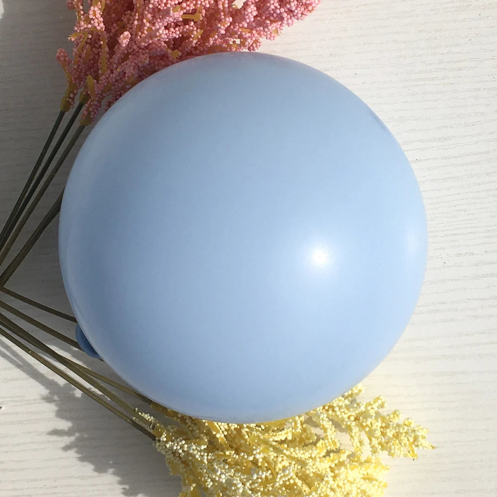 Colorful Macaron Balloon Arch Kit with Accessoriesba