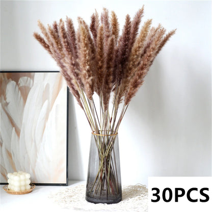 Natural Pampas Grass Dried Flower Bouquet