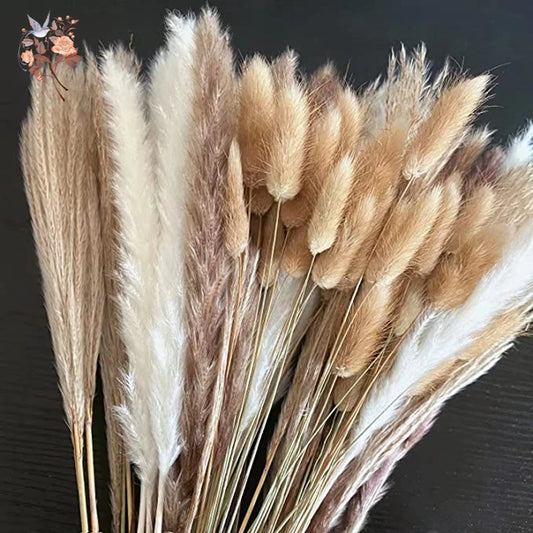 Natural Pampas Dried Flowers Bouquet