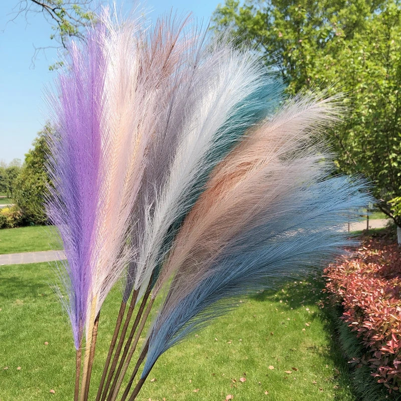 Pampas Grass  Bouquet  90/120cm