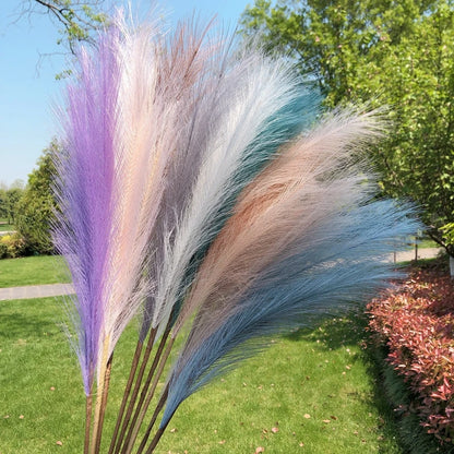 Pampas Grass  Bouquet  90/120cm