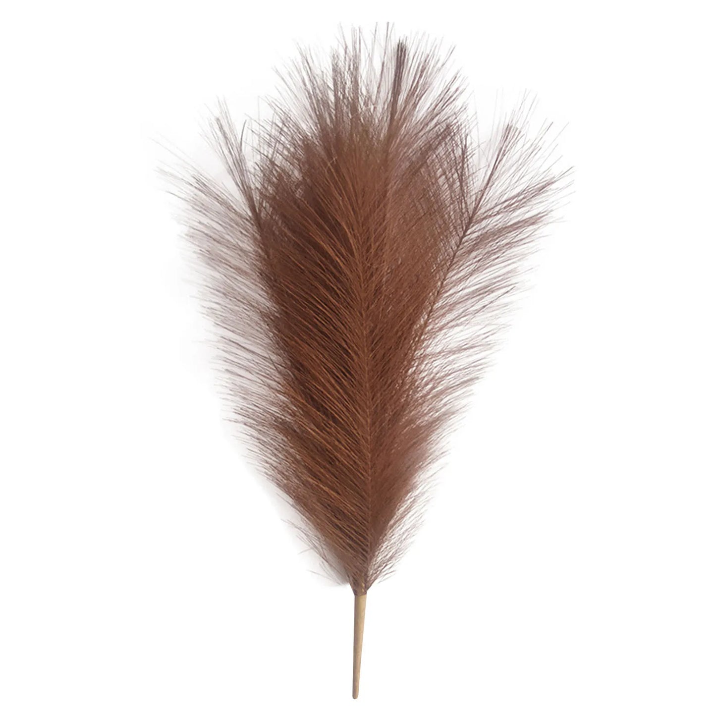 Pampas grass Vase decor  6PC
